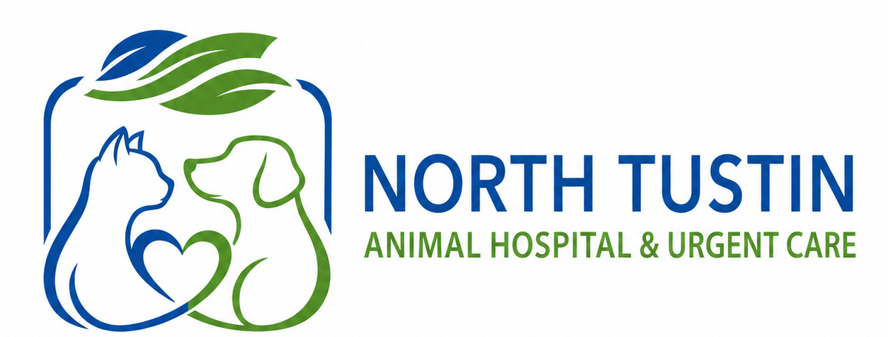 ntustin logo